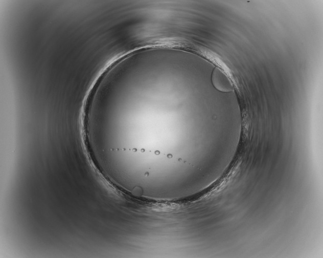 X0000094381091200711021221