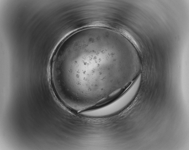 X0000094381092200711021221