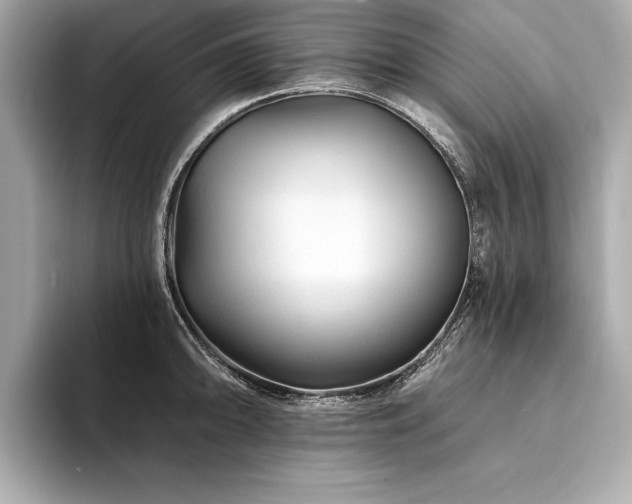X0000094381094200711021221