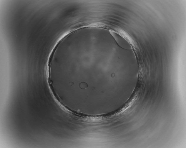 X0000094381095200711021221