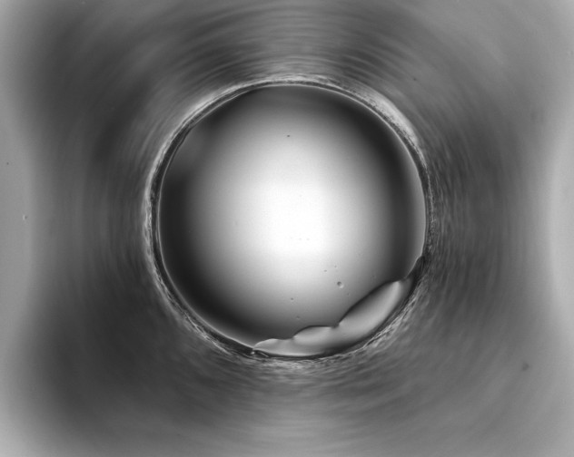 X0000094381096200711021221