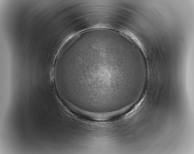 X0000094381097200711021221