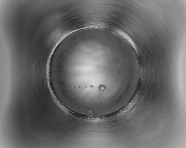 X0000094381099200711021221
