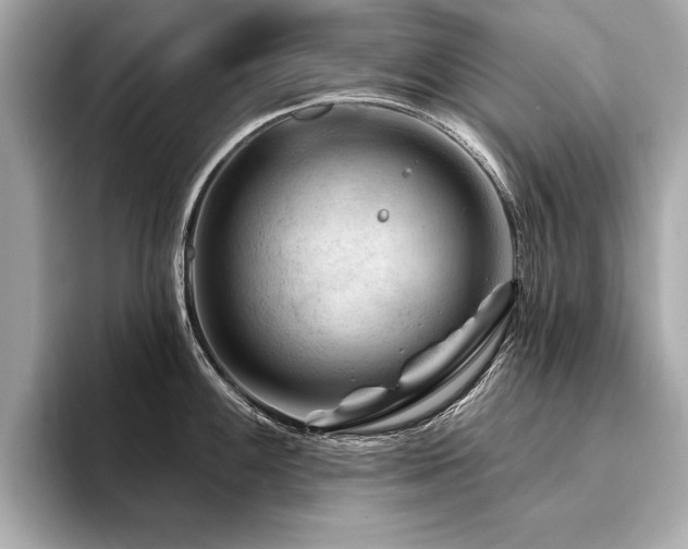 X0000094381100200711021221