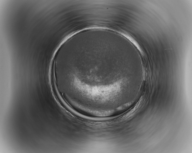 X0000094381101200711021221