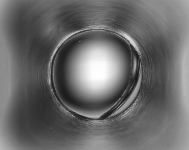 X0000094381102200711021221