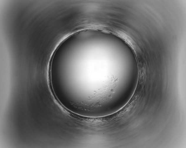 X0000094381103200711021221