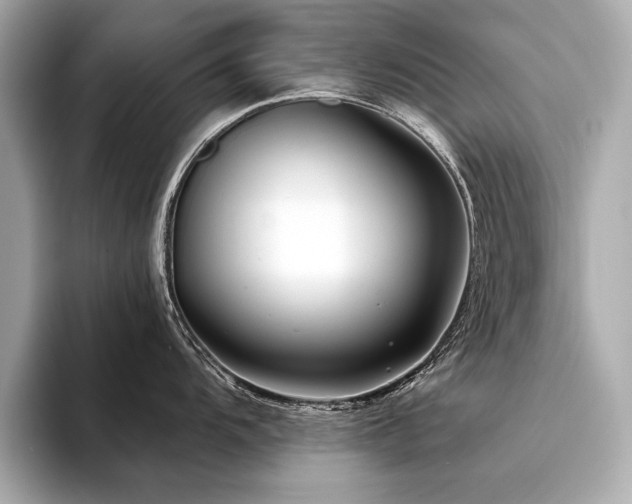 X0000094381104200711021221