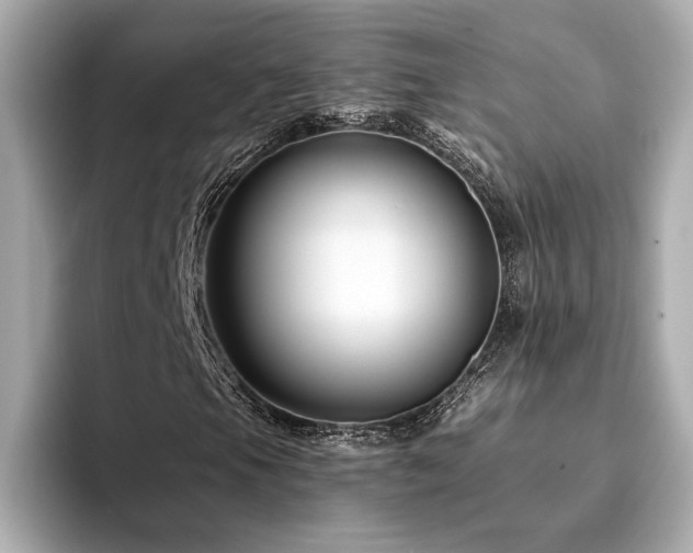 X0000094381105200711021221