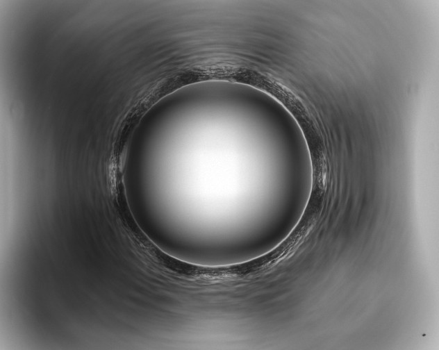 X0000094381108200711021221