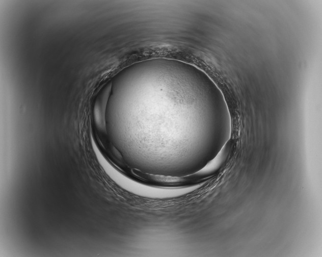 X0000094381109200711021221