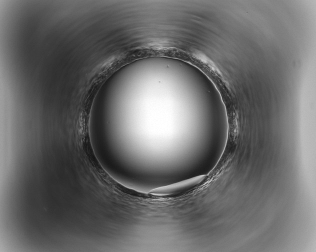 X0000094381110200711021221