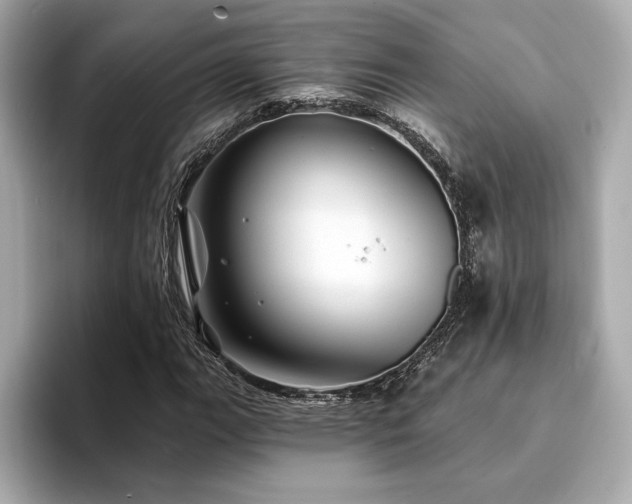 X0000094381111200711021221