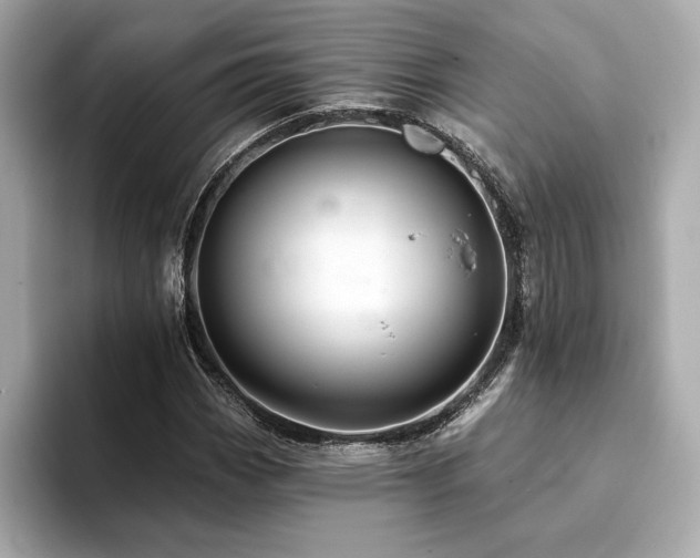 X0000094381113200711021221
