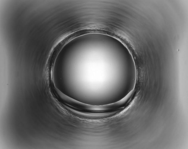 X0000094381114200711021221