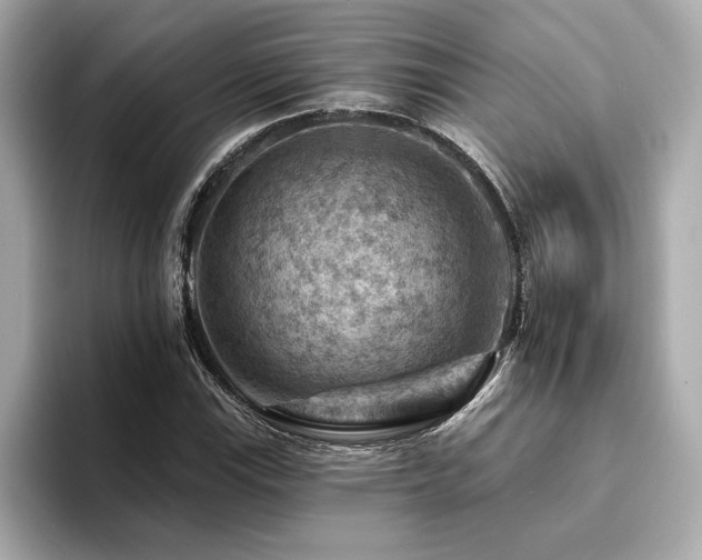 X0000094381115200711021221