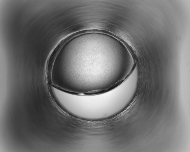 X0000094381116200711021221
