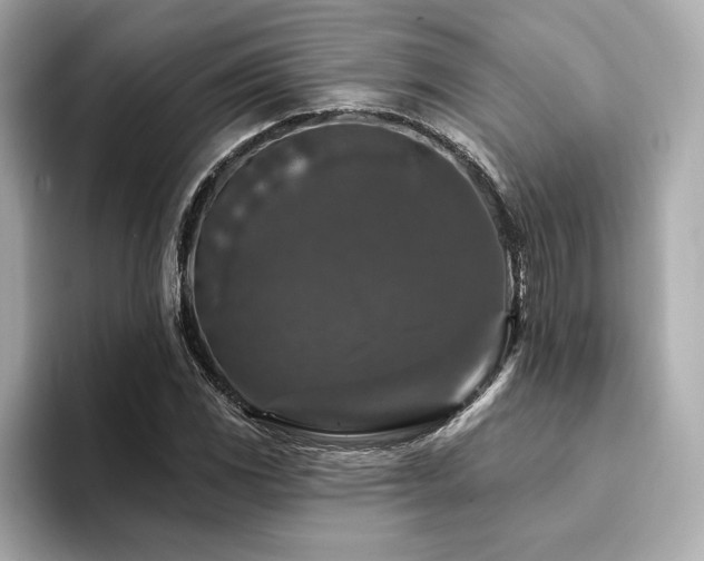 X0000094381117200711021221