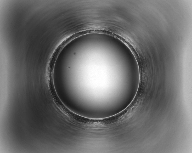 X0000094381119200711021221