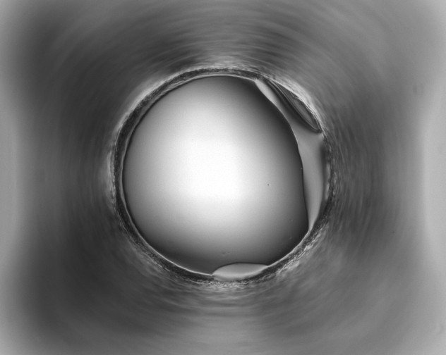 X0000094381120200711021221