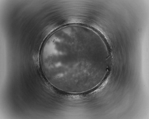 X0000094381121200711021221