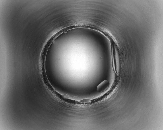 X0000094381122200711021221