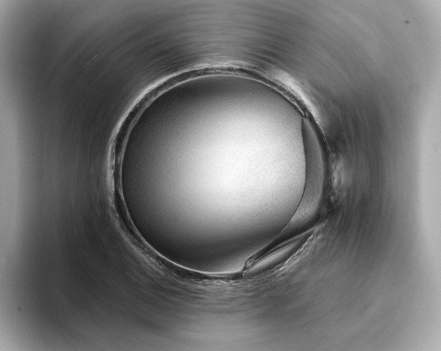 X0000094381124200711021221