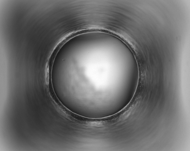 X0000094381126200711021221