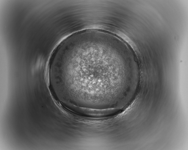 X0000094381127200711021221