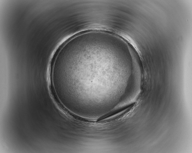 X0000094381128200711021221
