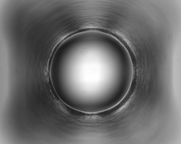 X0000094381129200711021221