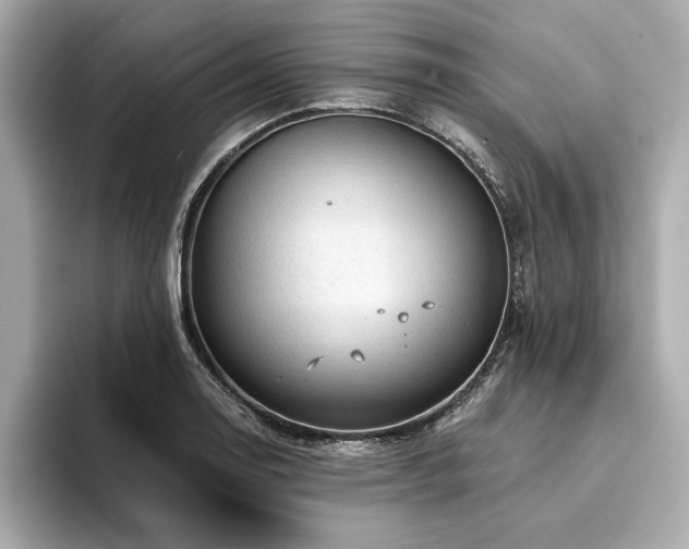 X0000094381130200711021221