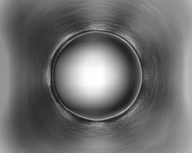 X0000094381131200711021221
