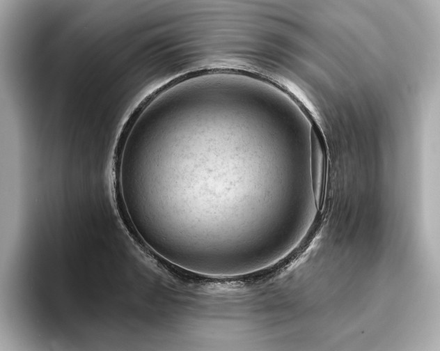 X0000094381133200711021221