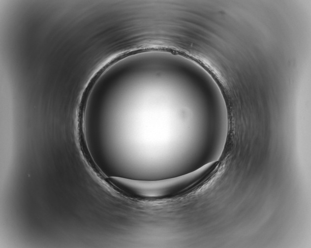 X0000094381134200711021221
