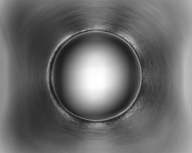 X0000094381135200711021221
