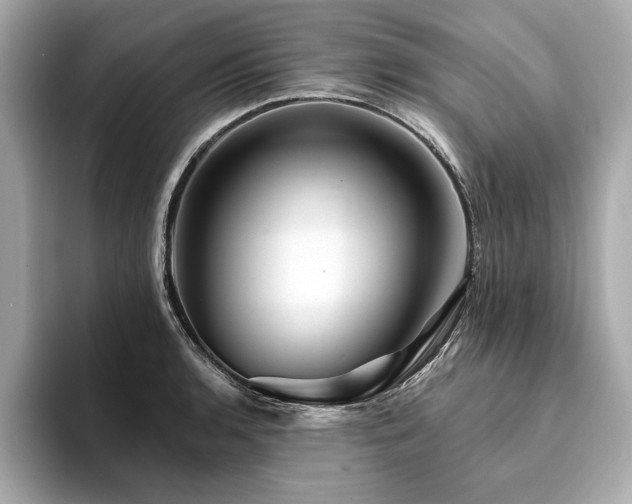X0000094381136200711021221