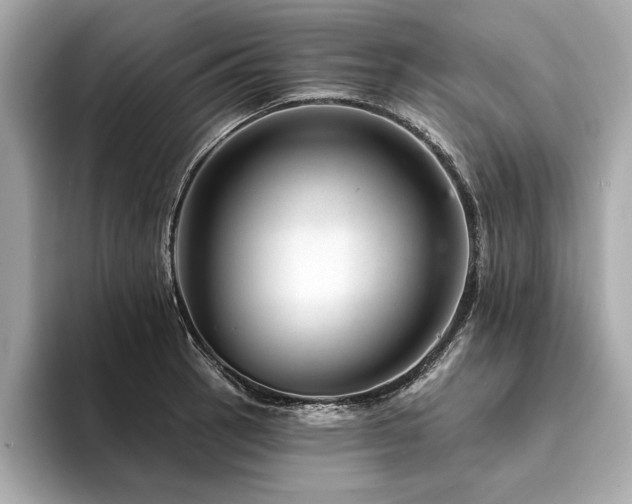 X0000094381137200711021221