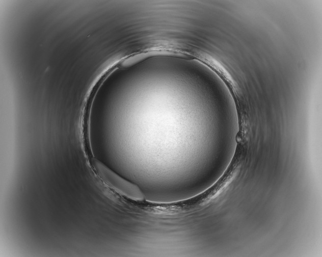 X0000094381138200711021221
