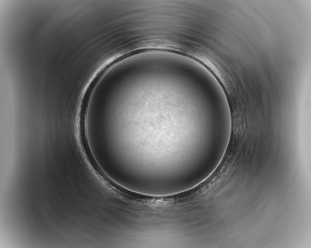 X0000094381139200711021221