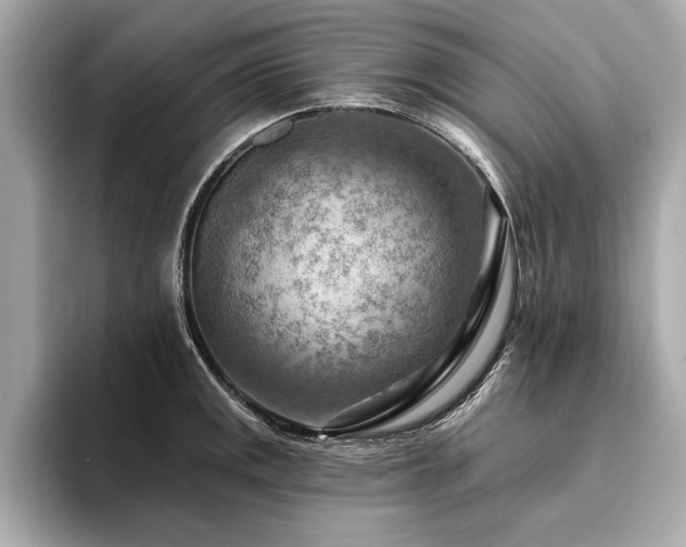 X0000094381141200711021221