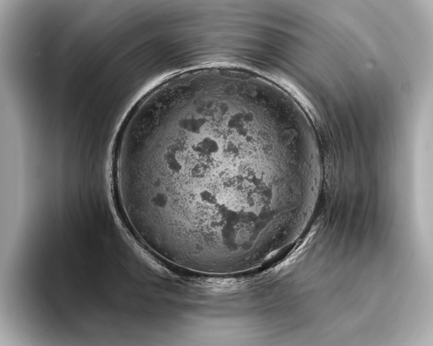 X0000094381142200711021221