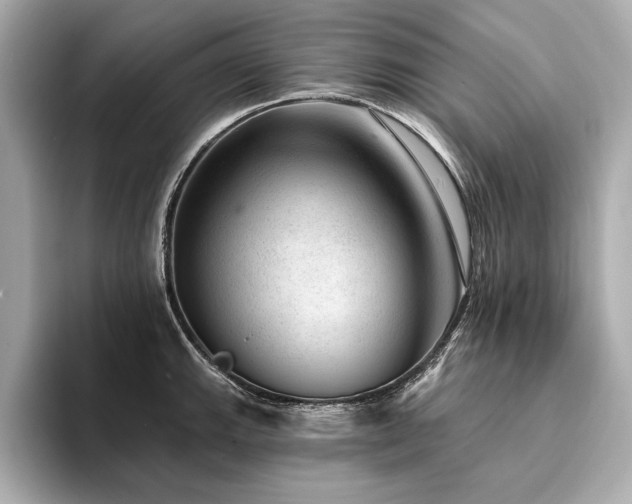 X0000094381143200711021221