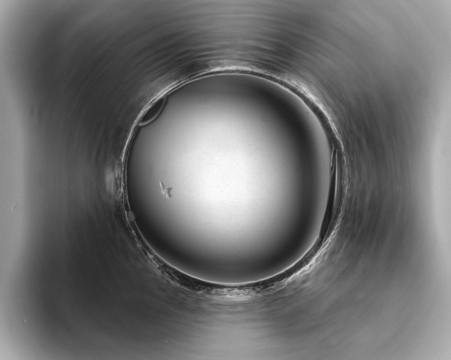 X0000094381145200711021221