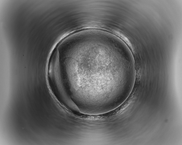 X0000094381146200711021221