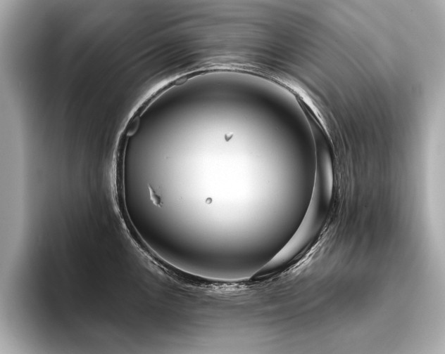 X0000094381147200711021221