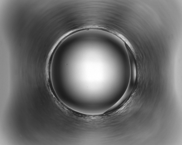 X0000094381148200711021221