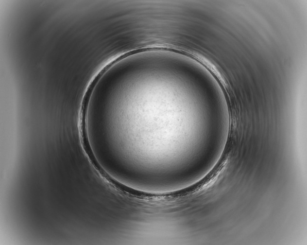 X0000094381149200711021221