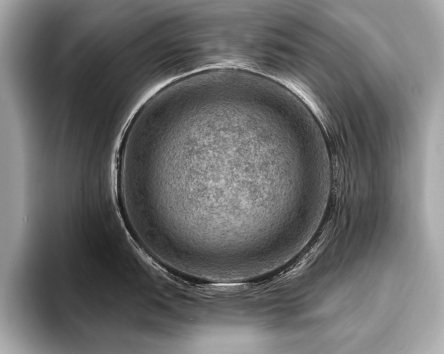 X0000094381151200711021221