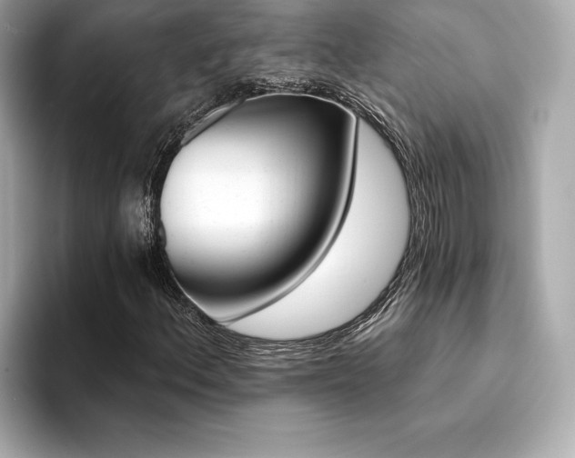 X0000094381156200711021221